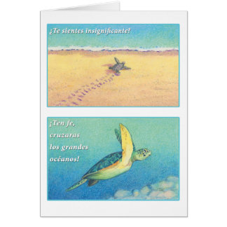 La Tortuga de Mar, tarjeta