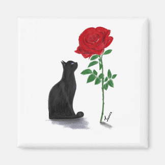 la vie en roos de Pacha Magneet