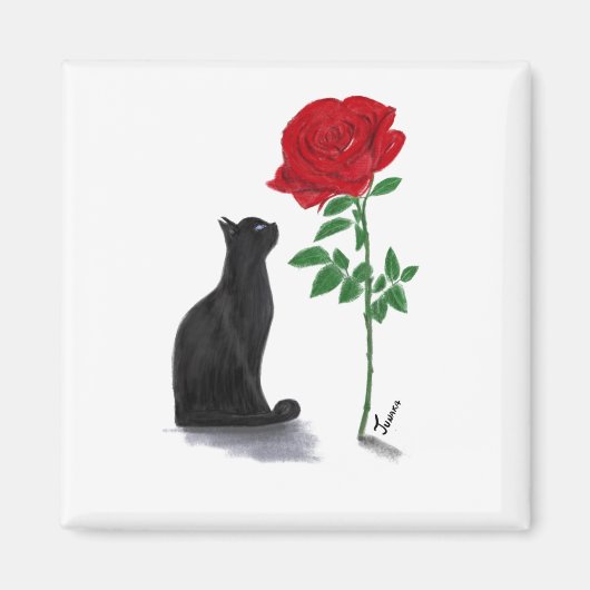 la vie en roos de Pacha Magneet (Voorkant)