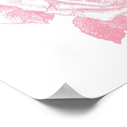 la vie en roos poster (Hoek)