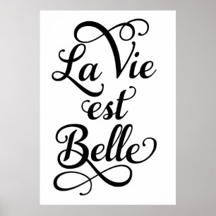 la vie est belle, het leven is mooi, Frans citaat. Poster