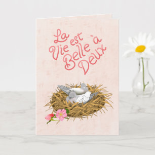 La Vie Est Belle Het Leven Is Mooi Franse Taal Kaart