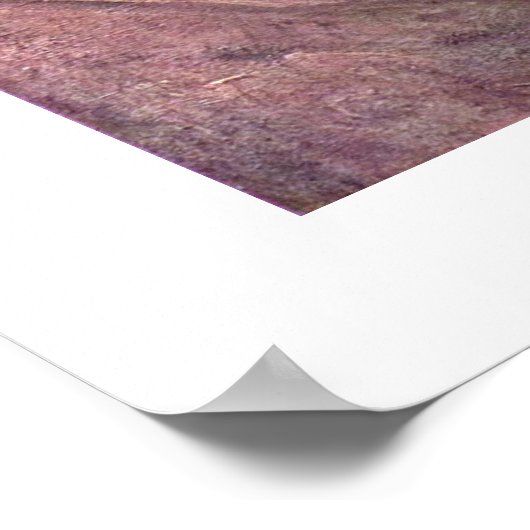 La Zingara By Jean-Baptiste Camille Corot Poster (Hoek)