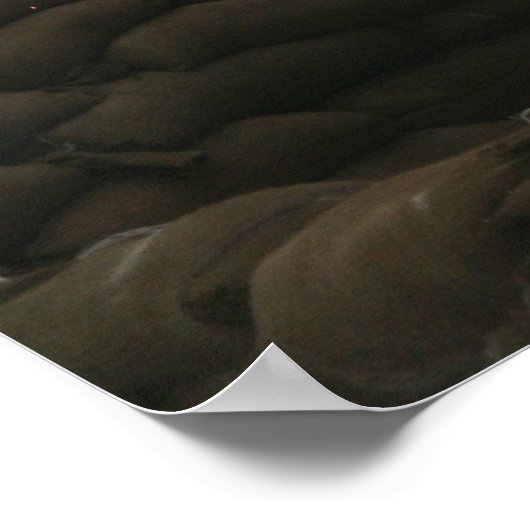 LAAD Stinger Fire Poster (Hoek)