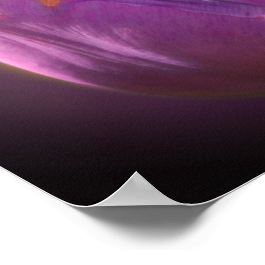 Laadbord met kleine bijen dicht poster (Hoek)