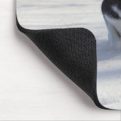 Laaddroogte Muismat (Hoek)