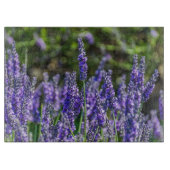 Laadglas Snijplank (Voorkant)