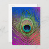 Laadveer van een pauw briefkaart (Voorkant / Achterkant)