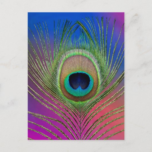 Laadveer van een pauw briefkaart (Voorkant)