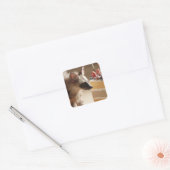 Laag Cake & Hyena Sticker (Envelop)