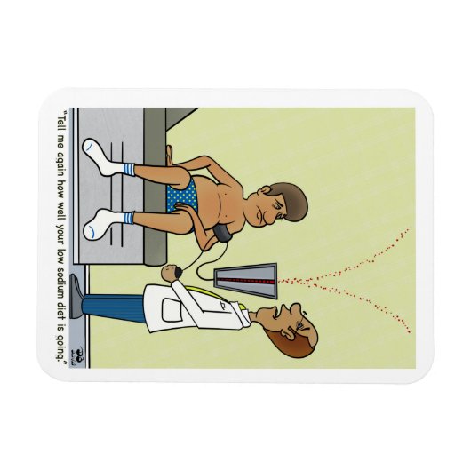 Laag natrium magneet (Horizontaal)