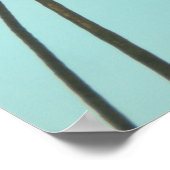 Laaghoekfotografie kokokosboom poster (Hoek)