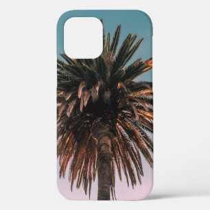 Laaghoekfotografie van bruine boom iPhone 12 hoesje