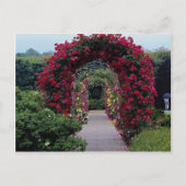 Laagklimkernen voor Rozen Briefkaart (Voorkant)