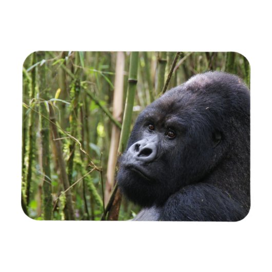 Laagland Gorilla flexibele magneet (Horizontaal)