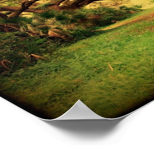 Laagland Poster levende eik (Hoek)