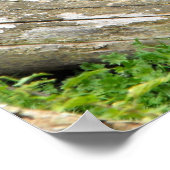 Laagland zijdewerk mannetjesgorilla die loopt poster (Hoek)