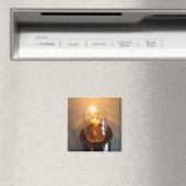 Laagspanningslamp Magneet (Insitu (Vaatwasser))