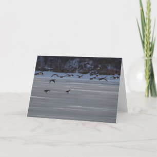 Laagvliegende ganzen kaart