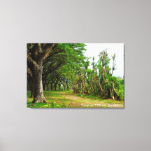 Laan met bomen landschap reis fotografie