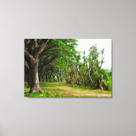 Laan met bomen landschap reis fotografie canvas afdruk