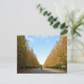 Laan met Platanen: Tokyo Briefkaart (Staand voorkant)