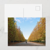 Laan met Platanen: Tokyo Briefkaart (Voorkant / Achterkant)
