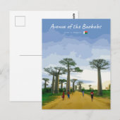 Laan van de Baobabs, Madagaskar - Landschap Briefkaart (Voorkant / Achterkant)