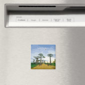 Laan van de Baobabs, Madagaskar - Landschap Magneet (Insitu (Vaatwasser))