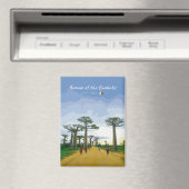 Laan van de Baobabs, Madagaskar - Landschap Plat Magneet (Insitu (Vaatwasser))