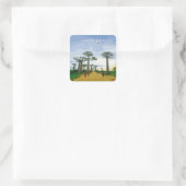Laan van de Baobabs, Madagaskar - Landschap Vierkante Sticker (Tas)
