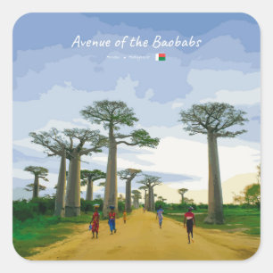 Laan van de Baobabs, Madagaskar - Landschap Vierkante Sticker