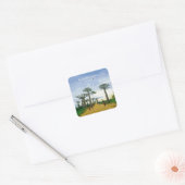 Laan van de Baobabs, Madagaskar - Landschap Vierkante Sticker (Envelop)
