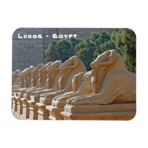 Laan van Sfinxen in Karnaktempel - Egypte Magneet