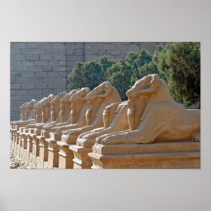 Laan van Sfinxen in Karnaktempel - Egypte Poster