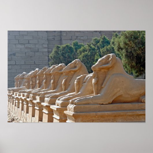 Laan van Sfinxen in Karnaktempel - Egypte Poster (Voorkant)