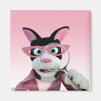 Laarsmagneet Magneet