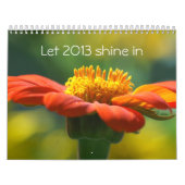laat 2013 inschenken kalender (Hoes)