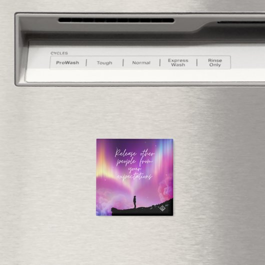 Laat andere mensen magneet los (Insitu (Vaatwasser))