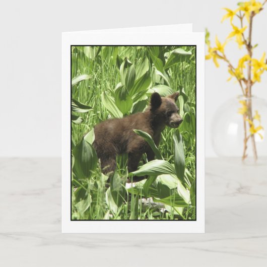 Laat Beren Beren Kaart zijn (Gele Bloem)