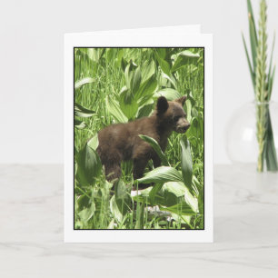 Laat Beren Beren Kaart zijn