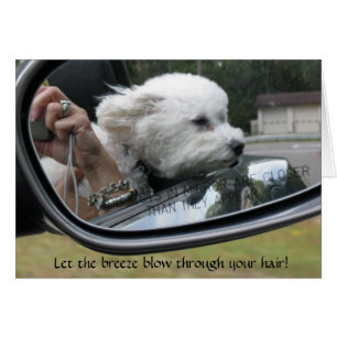 "Laat de bries door je haar stromen"