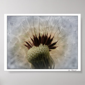 Laat de bries me dragen poster