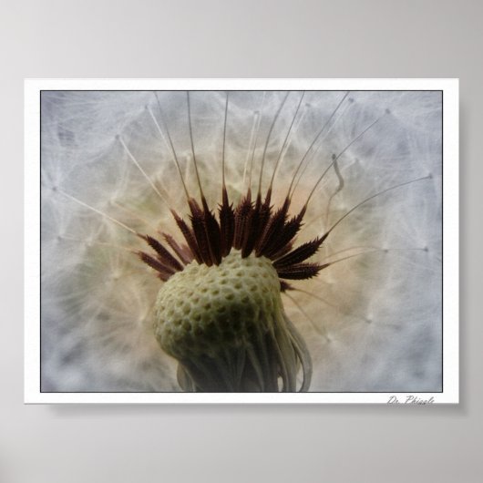 Laat de bries me dragen poster (Voorkant)