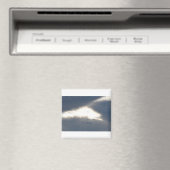 LAAT DE FLYAWAY'S VAN DE LET MAGNEET (Insitu (Vaatwasser))