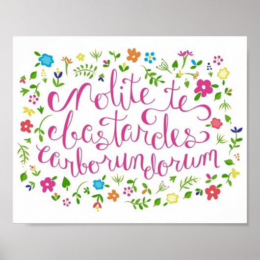 Laat de gebasters je de regenboogvlam afbreken. poster (Voorkant)