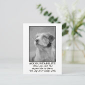 Laat de hond de schuld nemen van je farce briefkaart (Staand voorkant)