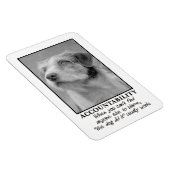 Laat de hond de schuld nemen van je farce magneet (Rechterzijde)