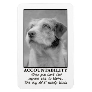 Laat de hond de schuld nemen van je farce magneet