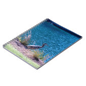 Laat de kleuren uw gids zijn notitieboek (Linkerzijde)